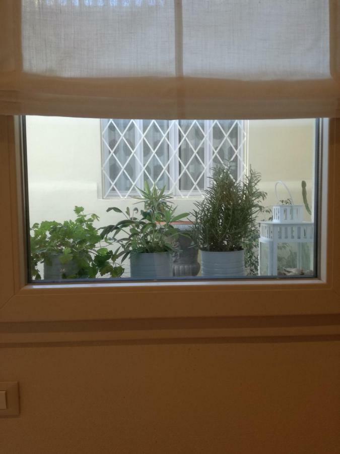 La Casa Di Anna Appartement Viareggio Buitenkant foto
